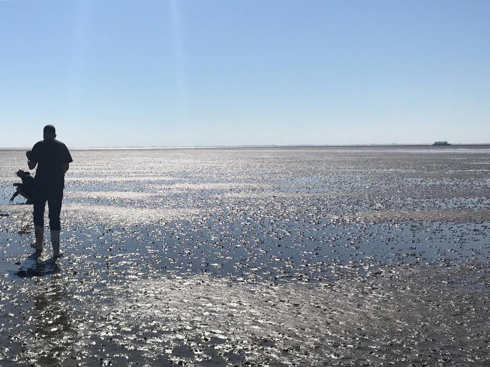 Camping Zee Van Tijd Holwerd Eksteriør bilde